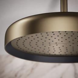 Statement Round 14" Single Function 2.5 GPM Rainhead with MasterClean Sprayface and Katalyst Air-Induction Technology - swvbsjoitoy89b0qbok0@2x.jpg