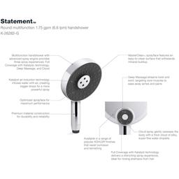 Statement 1.75 GPM Multi Function Hand Shower with MasterClean Sprayface and Katalyst Air Induction Technology - sxsqjxzlvb013yvojl5q@2x.jpg
