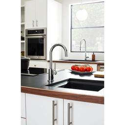Trinsic Single Handle Bar Faucet with Limited Swivel Spout - szpuhjqkxvri2wysthvl@2x.jpg