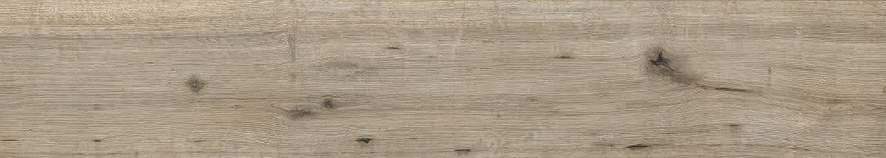 Caldera Olive