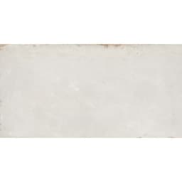 COGENT SILVER 16X31 - t3xxeot08qrmc9xhjowd@2x.jpg
