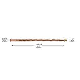 3/4 in. Sweat x 3/4 in. FIP x 24 in. Copper Water Heater Connector - t4shfcmmbnrjlptgkdld_x500.jpg