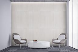 White - t681oa7pflhujahnrfjk@2x.jpg