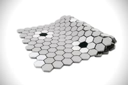 Flower White and Grey with Black Dot - t7e2bkz5j2sscf3afmnf@2x.jpg