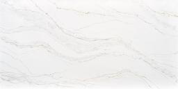 Splendor - t7lwfzhv7dzkkt49eicv@2x.jpg