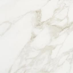 Marble Obsession Arabescato Rectangle 12X24 Matte - t8f99pgaqv7pqr69wcwo@2x.jpg