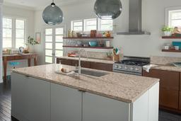 Giallo Ornamental Granite - t9xlma9oupajfkwqiq7h@2x.jpg