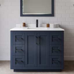 Miranda Single Bathroom Vanity - 42W x 33.75H x 22D - tbkfbaqgrhomeraim7px@2x.jpg