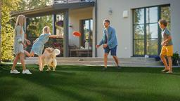 MEADOW GREEN PET-TURF 91 - tbyjqatl5tgsecrakgvh@2x.jpg