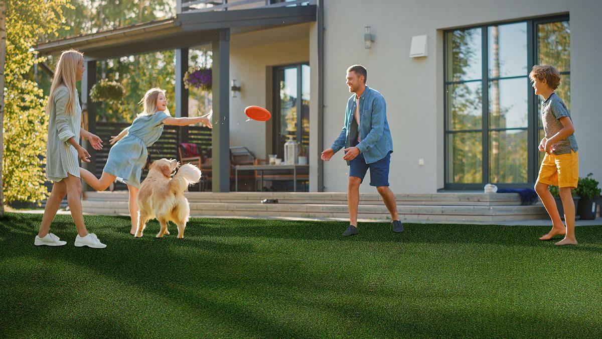 MEADOW GREEN PET-TURF 91 - tbyjqatl5tgsecrakgvh@2x.jpg