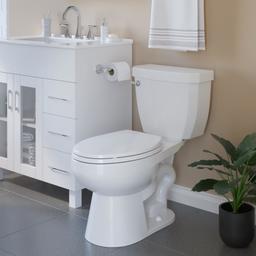 Willett Wall Mounted Spring Bar Toilet Paper Holder - tdd7vumvfsprnrloo8m4@2x.jpg