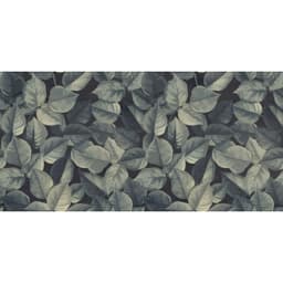PIANTE DECO JUNGLE MT 23X47 - tdkeip2om1wobn8qgvdw@2x.jpg