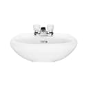 Willow Creek 19-1/2" Oval Vitreous China Pedestal Bathroom Sink with Overflow and 3 Faucet Holes at 4" Centers - Sink Only - tdlun74vmziqaskgufbg@2x.jpg