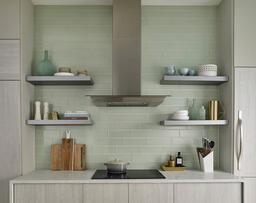 Arctic Ice Glass Subway Tile - te5vzhqkrjzcdby17vy7@2x.jpg