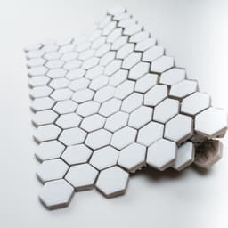 1x1 White Hexagon - teqotayo8tjz9cqgfrx1@2x.jpg