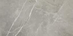 Platinum Dove Rectangle 12X24 Matte - texaxnbull8h5wtpk305@2x.jpg