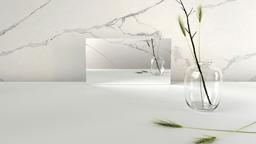 Whitenna - tf09kjrqqiathmyd8p77@2x.jpg