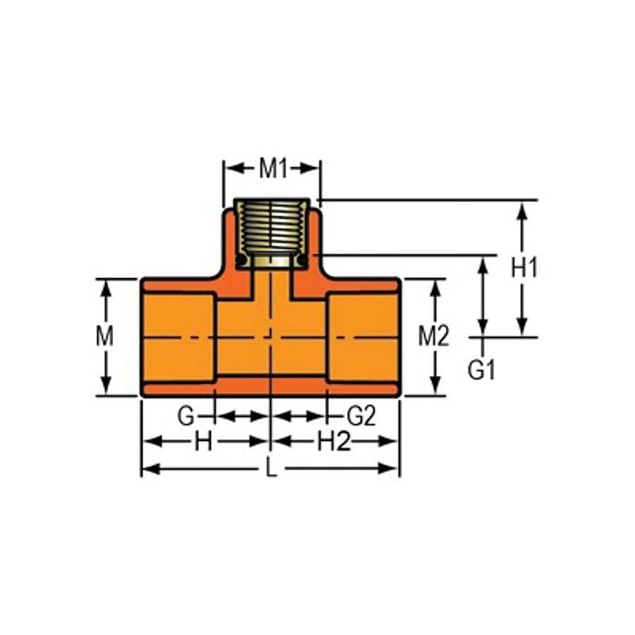 FlameGuard® Head Tee, 2 x 1/2 in, Socket x Brass FNPT, CPVC - tgrvji3pfp4cqczmfesb@2x.jpg