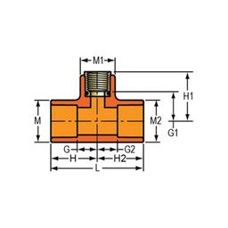 FlameGuard® Head Tee, 2 x 1/2 in, Socket x Brass FNPT, CPVC - tgrvji3pfp4cqczmfesb@2x.jpg