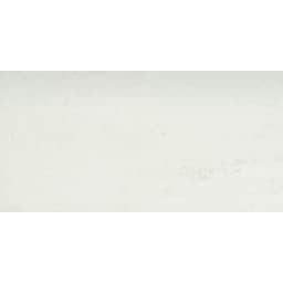 PRODIGY AGNESI PL 12X24 - tjxl2vuurwrlgg1b7bni@2x.jpg