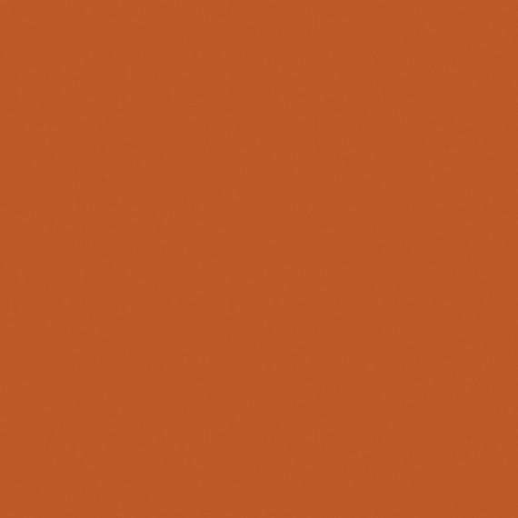 Color Story Wall Blaze Rectangle 2X8 Glossy