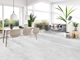 Trecento® Carrara Avell® - tkguumjyfnna7t7uhhgh@2x.jpg