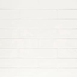 Clara 2.75" x 11" Glossy Porcelain Tile in Grey - tkic4hsb0rvxd9cgn4m6@2x.jpg