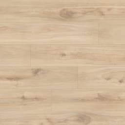 SMITHCLIFFS SUNNYVALE  7.55X50.59 - tlvcrisien9c8lpsvsnl@2x.jpg
