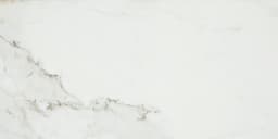 Platinum Magnolia Rectangle 12X24 Matte - tn4oszpyf1ekbphv4ufn@2x.jpg