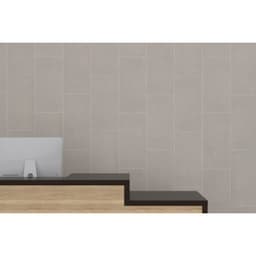 FIXT CEMENT MINK MT 12X24 - to60tzdbruyiaul5sqco@2x.jpg