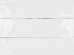 ARTESANO WHITE ICE BG 3X12 - trogcscaj92fyfazcrwo@2x.jpg