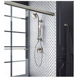 Artifacts 1.75 GPM Single Function Hand Shower with MasterClean Sprayface - tspbcfmcfz70lhvs37kv@2x.jpg