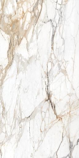 Calacatta Topaz - tsq4aceyhzsxjvtpzwxy@2x.jpg