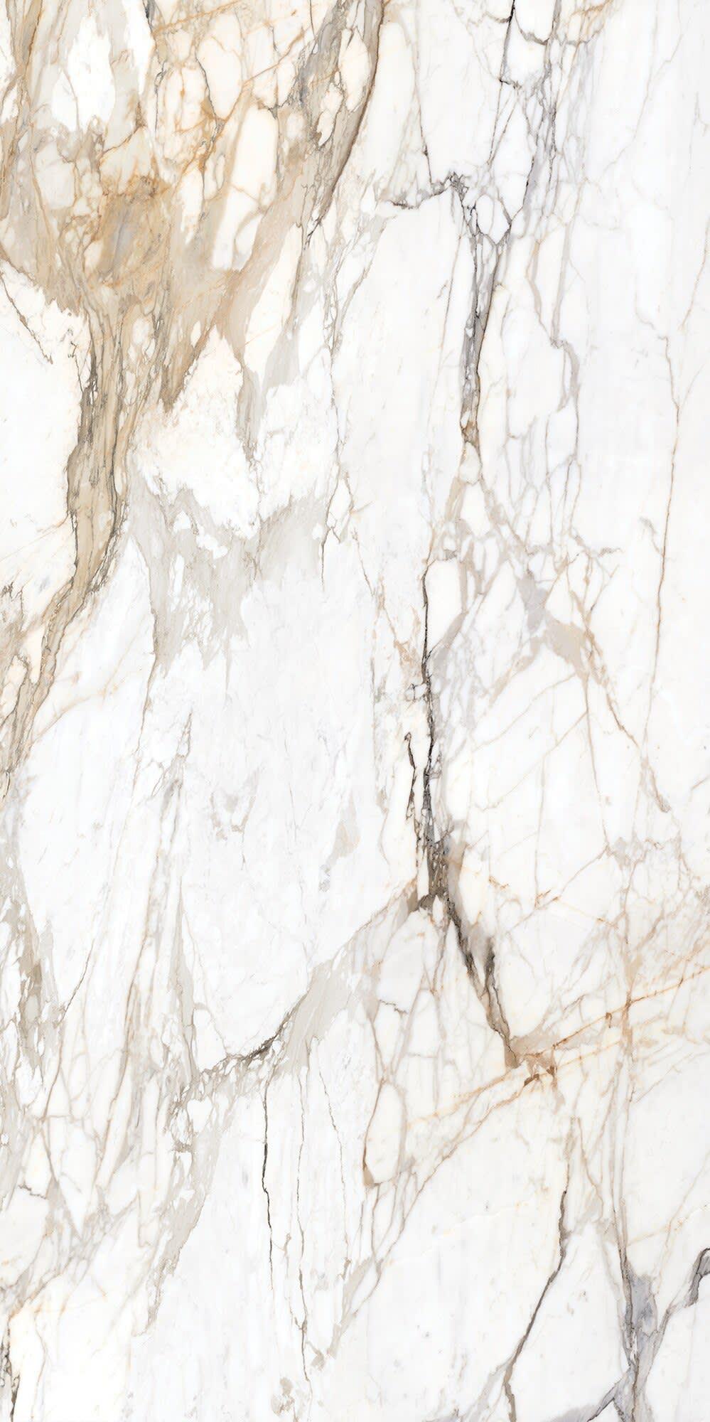 Calacatta Topaz - tsq4aceyhzsxjvtpzwxy@2x.jpg