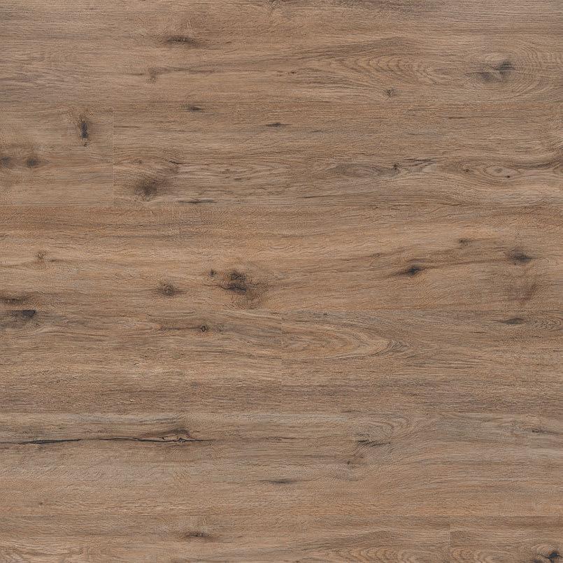 Kallum® Fauna® - tsv9unmyhc2qhvlkgjvv_800x500@2x.jpg