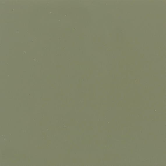 Color Wheel Classic Garden Spot Rectangle 3X6 Glossy