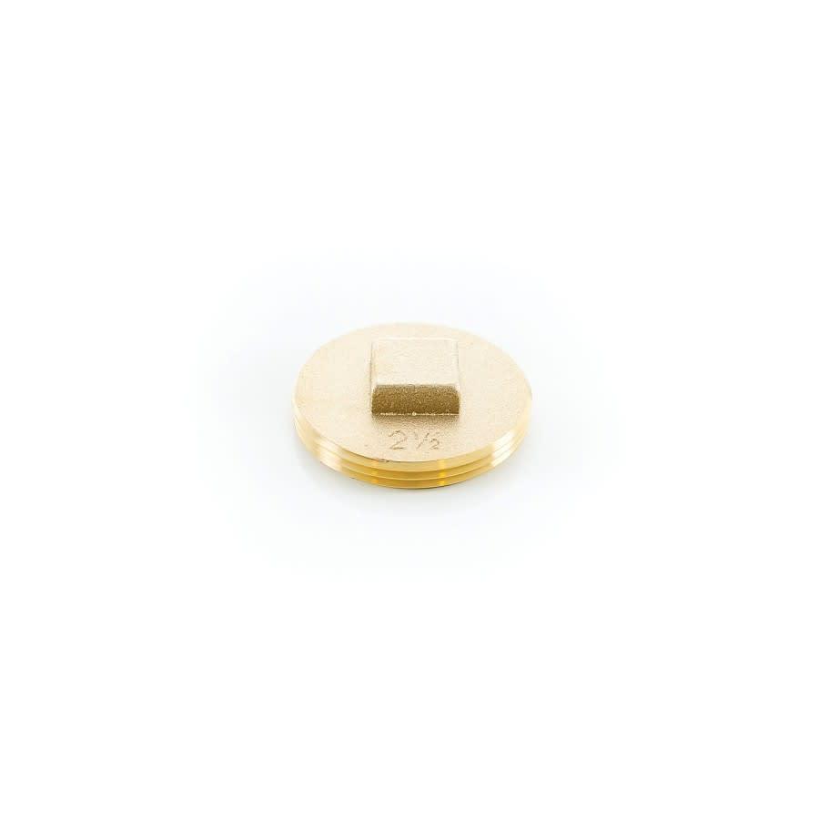 Countersunk Square Tapped Cleanout Plug, 2-1/2 in, 1/4-20, Brass - tve9gdyuqwjnuidjhl27@2x.jpg