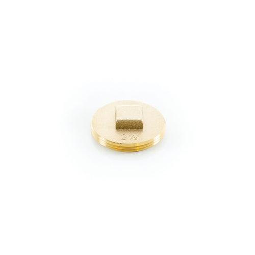 Countersunk Square Tapped Cleanout Plug, 2-1/2 in, 1/4-20, Brass - tve9gdyuqwjnuidjhl27_x500.jpg