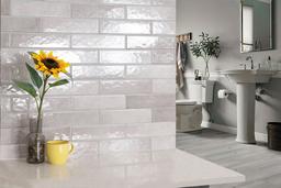 Renzo Sterling Tile - tviutevul3ec6ojlnber_x500.jpg