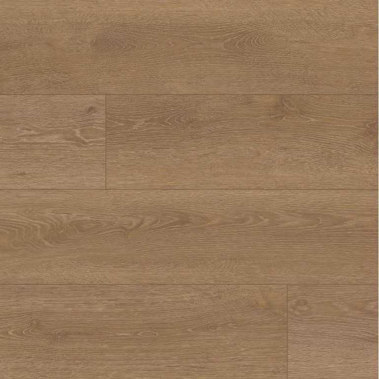 MONARCH LANCSTR 5M/12ML - tw569chpewdhfbn6hgrk@2x.jpg
