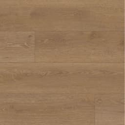 MONARCH LANCSTR 5M/12ML - tw569chpewdhfbn6hgrk@2x.jpg