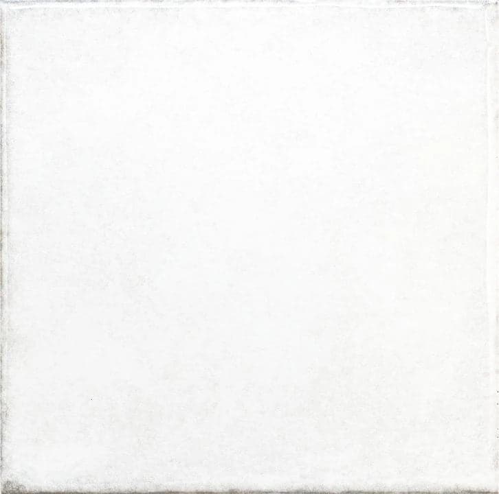 OLARIA WHITE 6x6 - two6hkqjkqnbda7icfko@2x.jpg