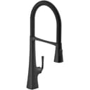 Graze 1.5 GPM Single Hole Pre-Rinse Pull Down Kitchen Faucet - txfigotf9zezn14vv52q@2x.jpg