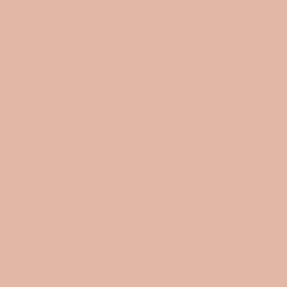Color Story Wall Blush Rectangle 2X8 Glossy - txm2qwzcazkzrzxkxqfs@2x.jpg