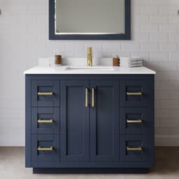 Miranda Single Bathroom Vanity - 42W x 33.75H x 22D - txxxfuhkzleuqlonibwi@2x.jpg