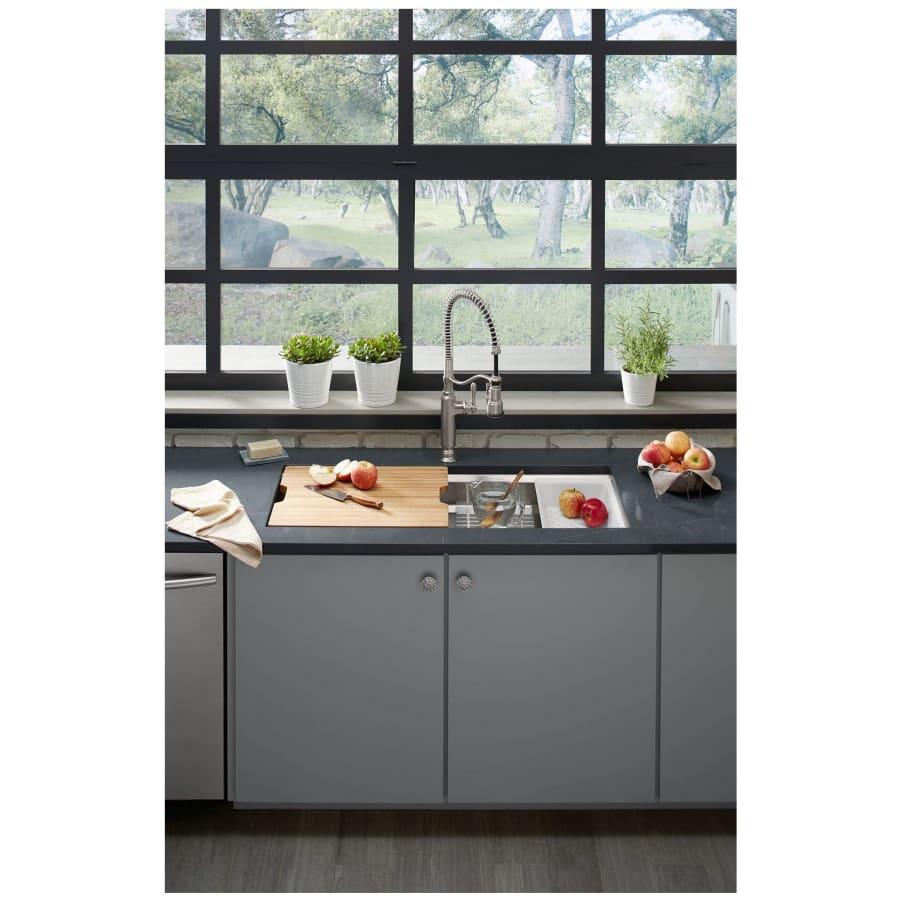 Prolific 44" Undermount Single Bowl Stainless Steel Kitchen Sink with Accessories Included - tyk8qwupdkz1ri9zxtv8@2x.jpg