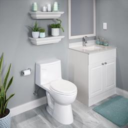 Stedman 19-7/8" Rectangular Vitreous China Undermount Bathroom Sink with Overflow - tz4uytshwmcswlnhqai1@2x.jpg