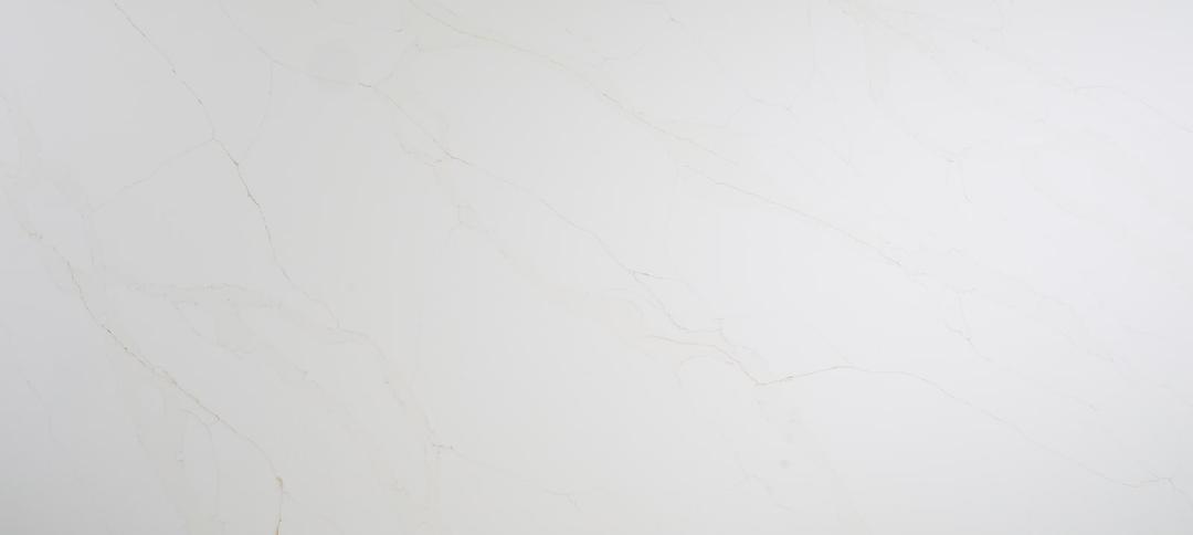 Calacatta Romano - tzn75ti1j81tfhdagpgw@2x.jpg