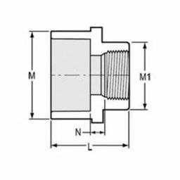 Female Adapter, 1/2 x 3/4 in, Socket x FNPT, SCH 40/STD, PVC - u2t68zmyn5wgfcorewrj@2x.jpg