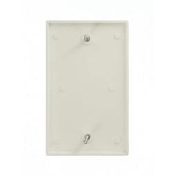 1-Gang Blank Wall Plate, White - u4mympwkyj4t4ddj16gh@2x.jpg